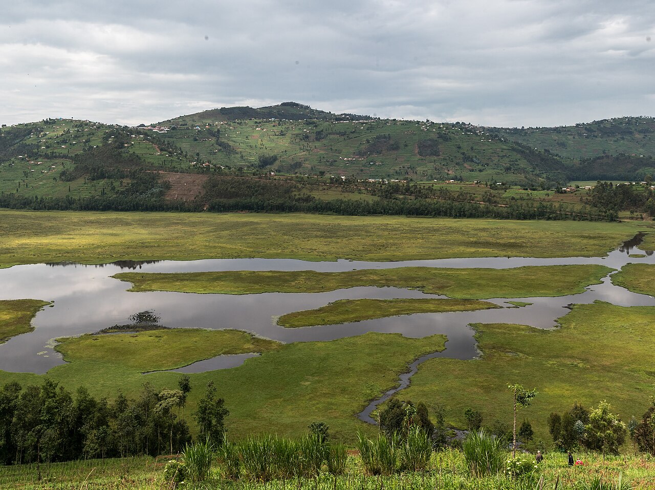 Stitching a brighter future beside Rwanda’s Rugezi Marsh